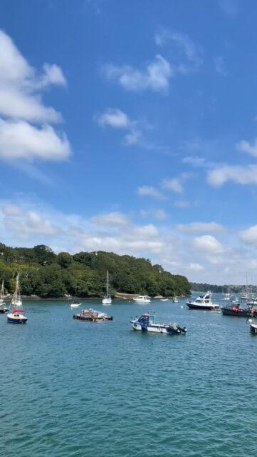 The good weather continues! Good looking forecast for the week too. Make the most of it! #boatlife #summervibes #dogfriendly #schoolholidays #family