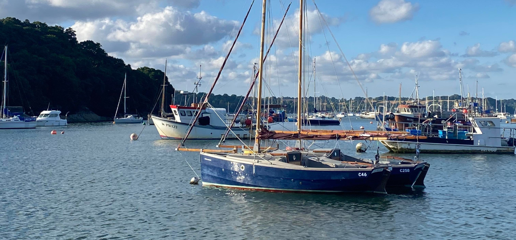 Shrimper2